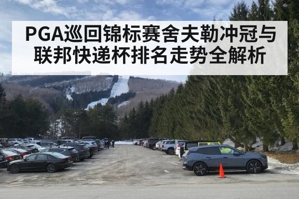 PGA巡回锦标赛舍夫勒冲冠与联邦快递杯排名走势全解析