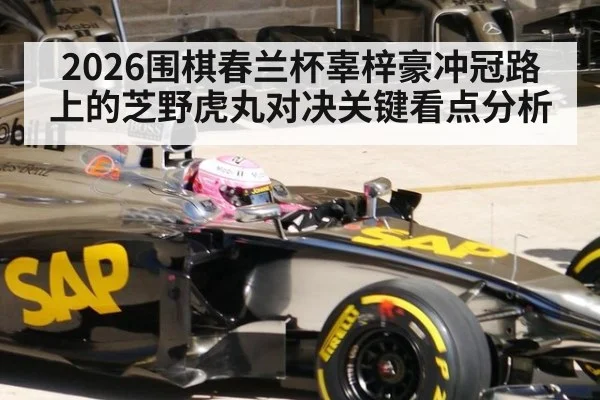 2026围棋春兰杯辜梓豪冲冠路上的芝野虎丸对决关键看点分析